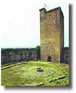 Vue de la cours, des courtines et du puits.